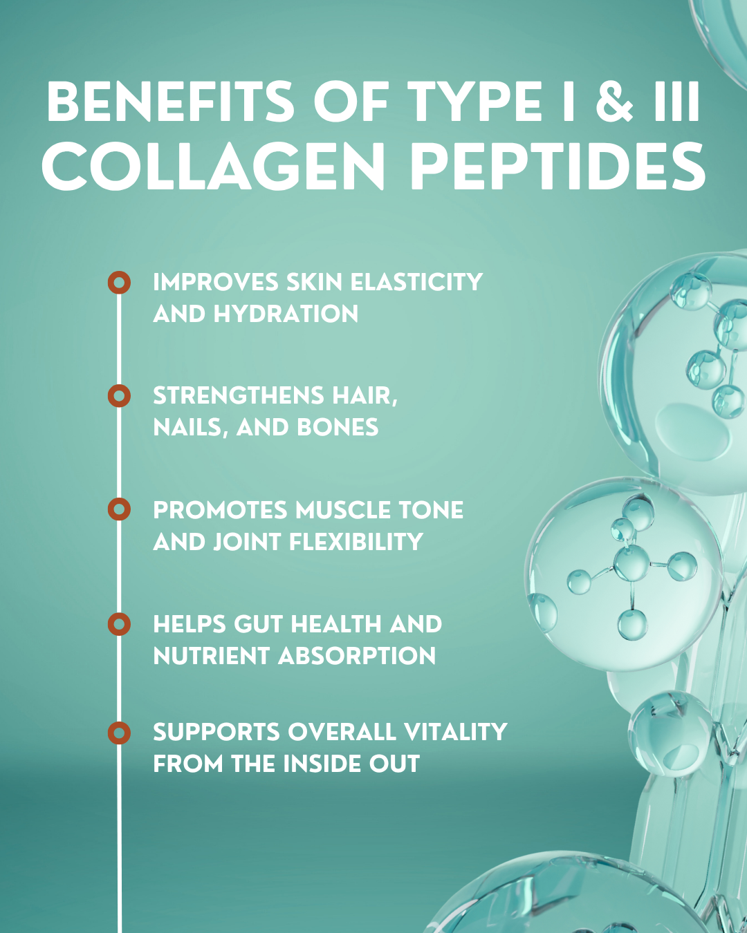 Limited Edition Candy Cane